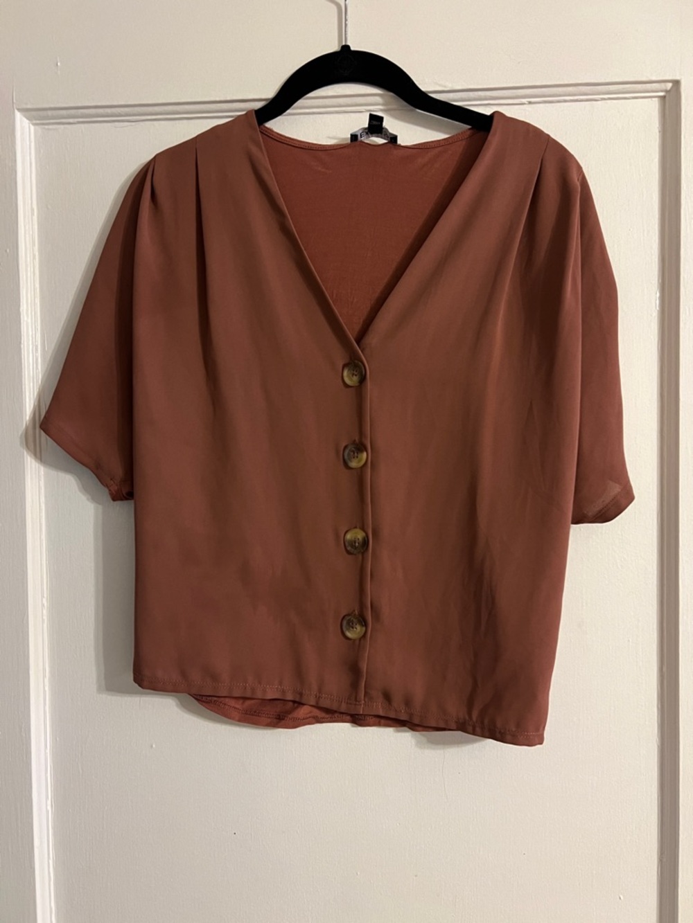 Express Rust Short-Sleeve Button V-Neck Blouse